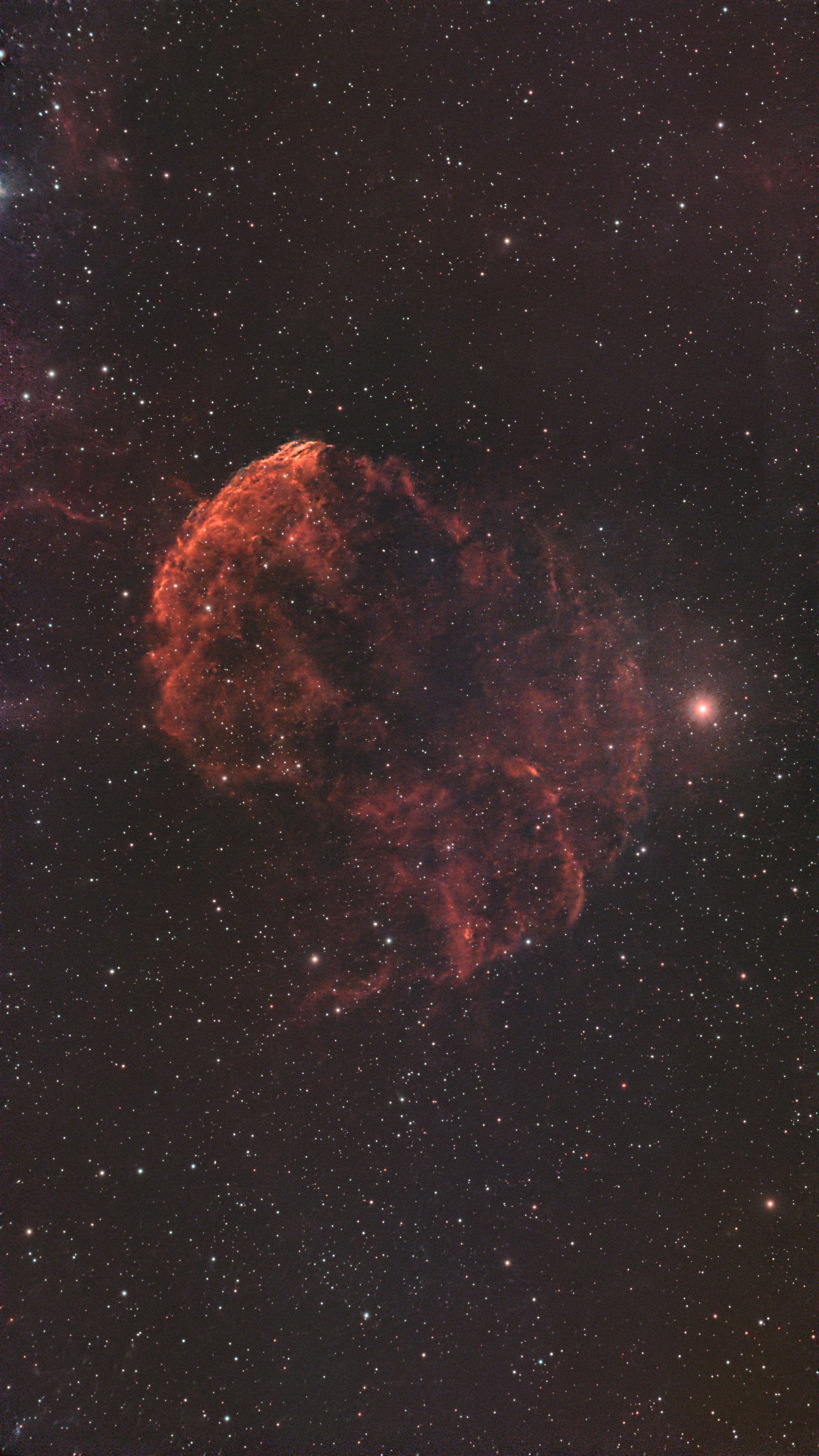 IC 443 (Jellyfish Nebula)